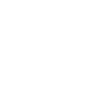 Integrity Icon
