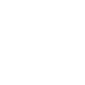 Quality Icon
