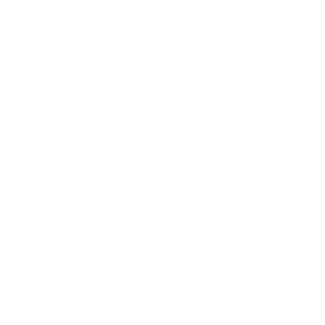 Our Mission Icon