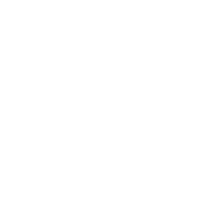 Reliability Icon