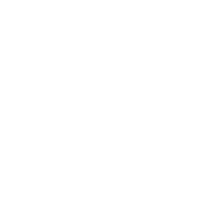 Our Vision Icon