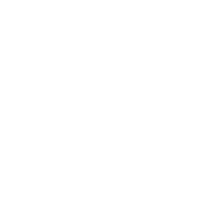 Customer Satisfaction Icon